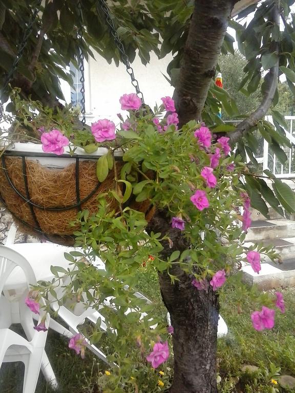 Siesta Apartments Šibenik Eksteriør bilde